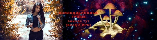 крисы Карталы