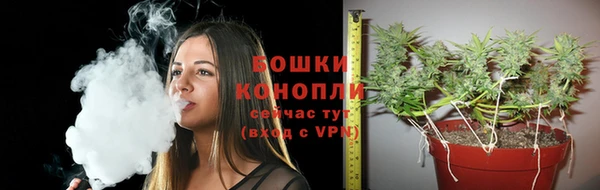 крисы Карталы