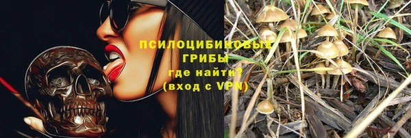 крисы Карталы