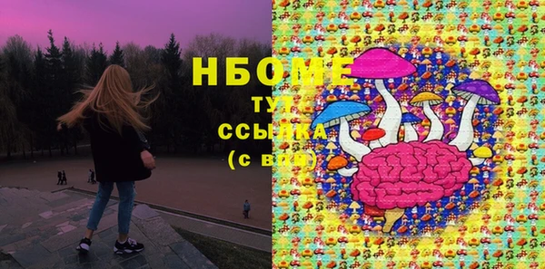 прущий лед Карпинск