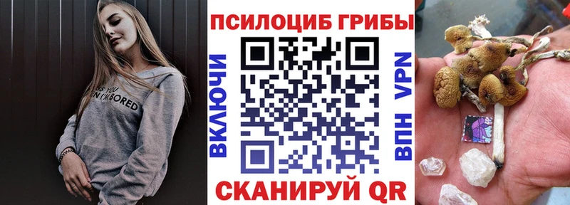 Псилоцибиновые грибы прущие грибы  Купить  Кстово 